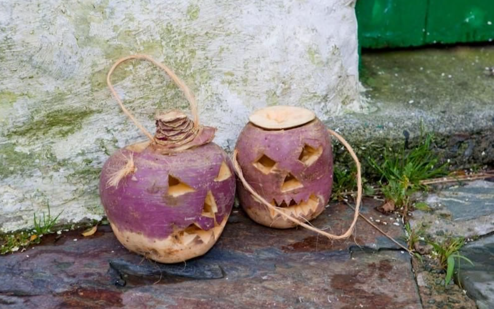 Purple turnip lanterns in a poor European village